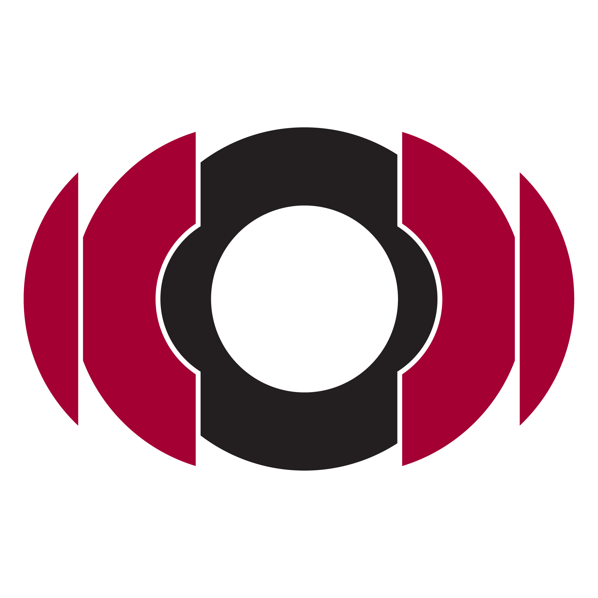 DWMPulse Logo